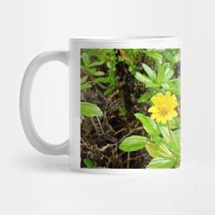 Iao Valley State Monument Study 14 Mug